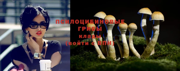 гидра Козельск