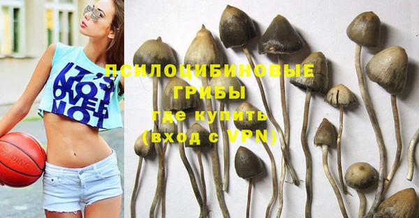 гидра Козельск