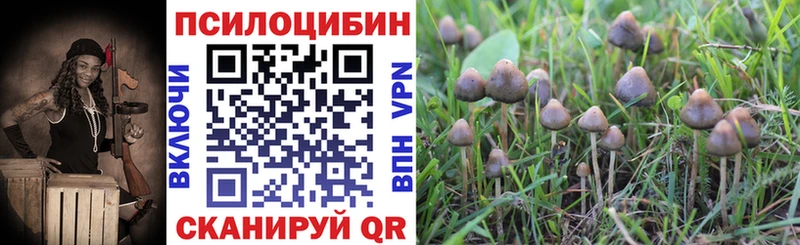 Купить где  Приволжск  Галлюциногенные грибы мухоморы 